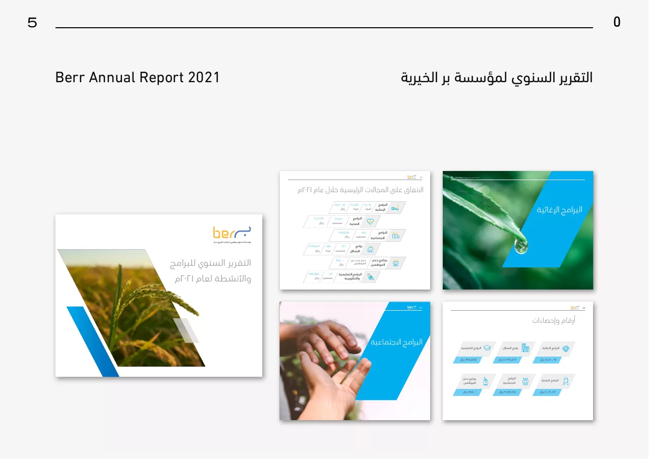 Berr charity annual report with program and impact infographics