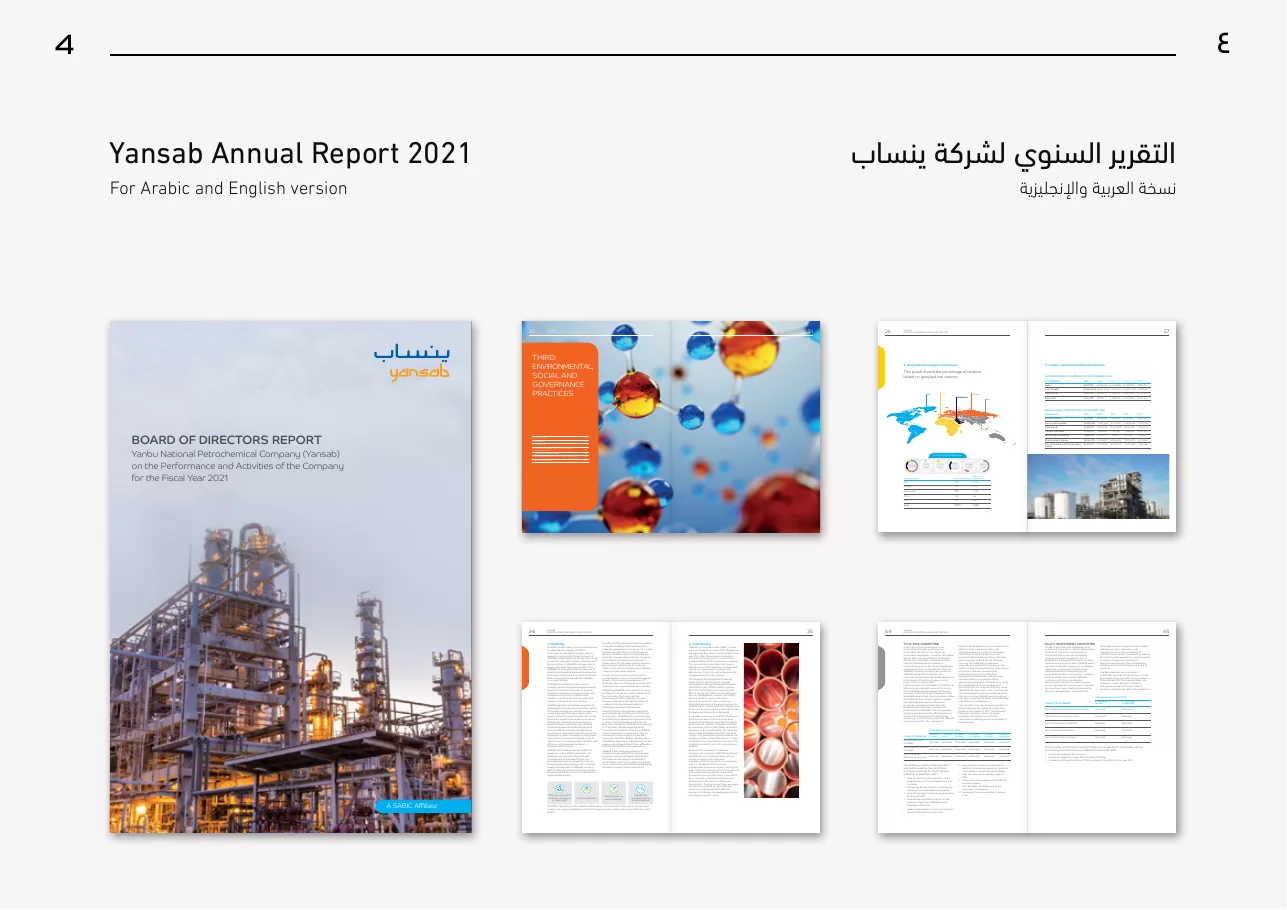 Yansab 2021 annual report cover and editorial page system